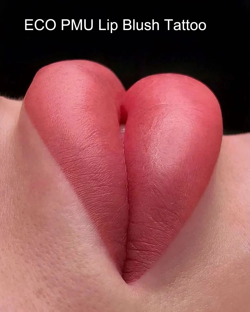 Pigmento permanente 10ml del maquillaje del tatuaje del rubor del labio de ECO PMU