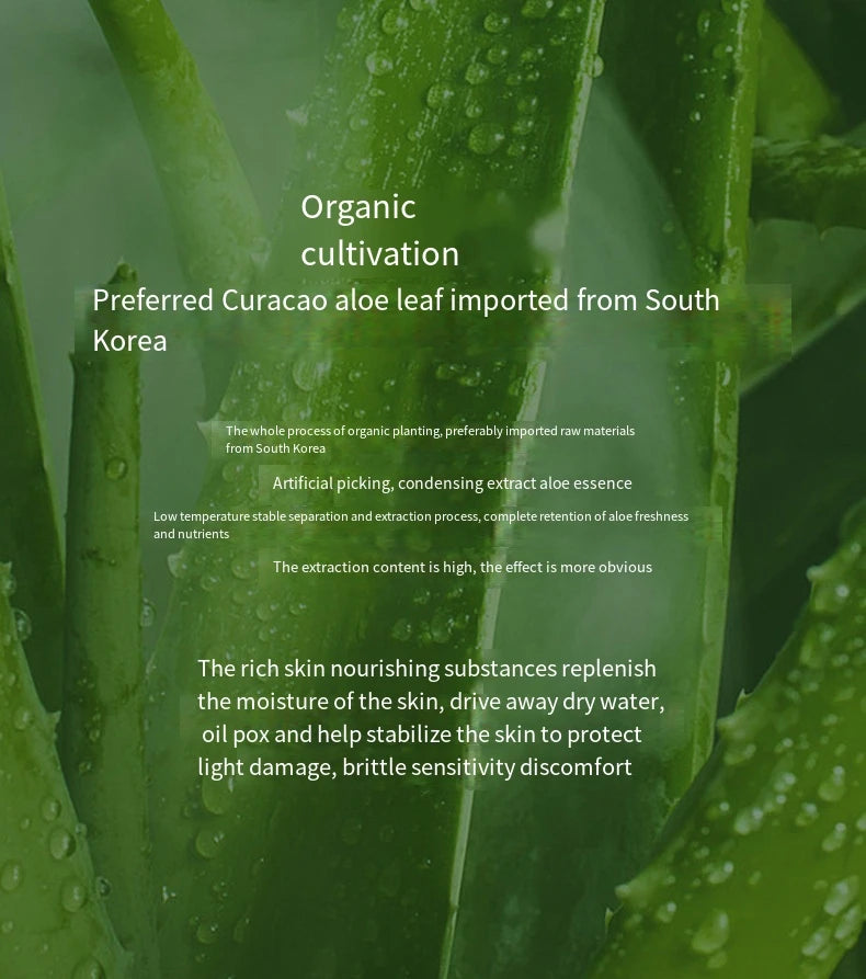 Gel de Aloe Vera 500g Botella Grande Gel de Aloe Hidratante Gran Capacidad Hidratante e Hidratante